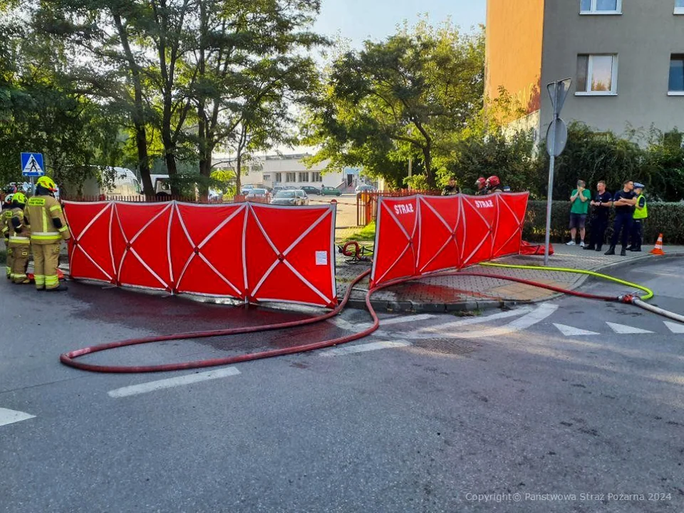 Zapalił się samochód elektryczny. Nie żyje mężczyzna. Wcześniej wzywał pomocy - Zdjęcie główne