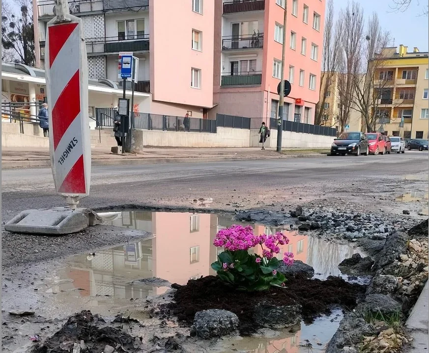 Łódź. Sadzą kwiaty w ulicznych dziurach. Kto naprawi drogową fuszerkę? - Zdjęcie główne