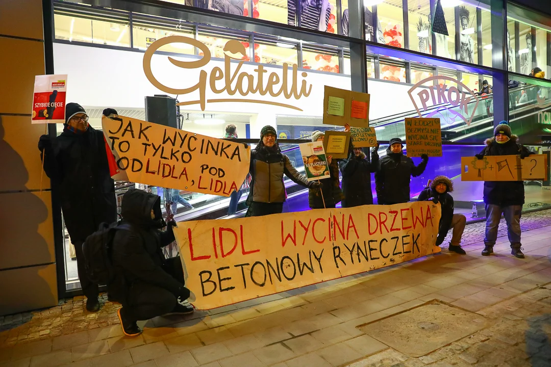 Protest pod Lidlem w Łodzi. Mieszkańcy są oburzeni wycięciem pięknego drzewa [wideo | zdjęcia] - Zdjęcie główne