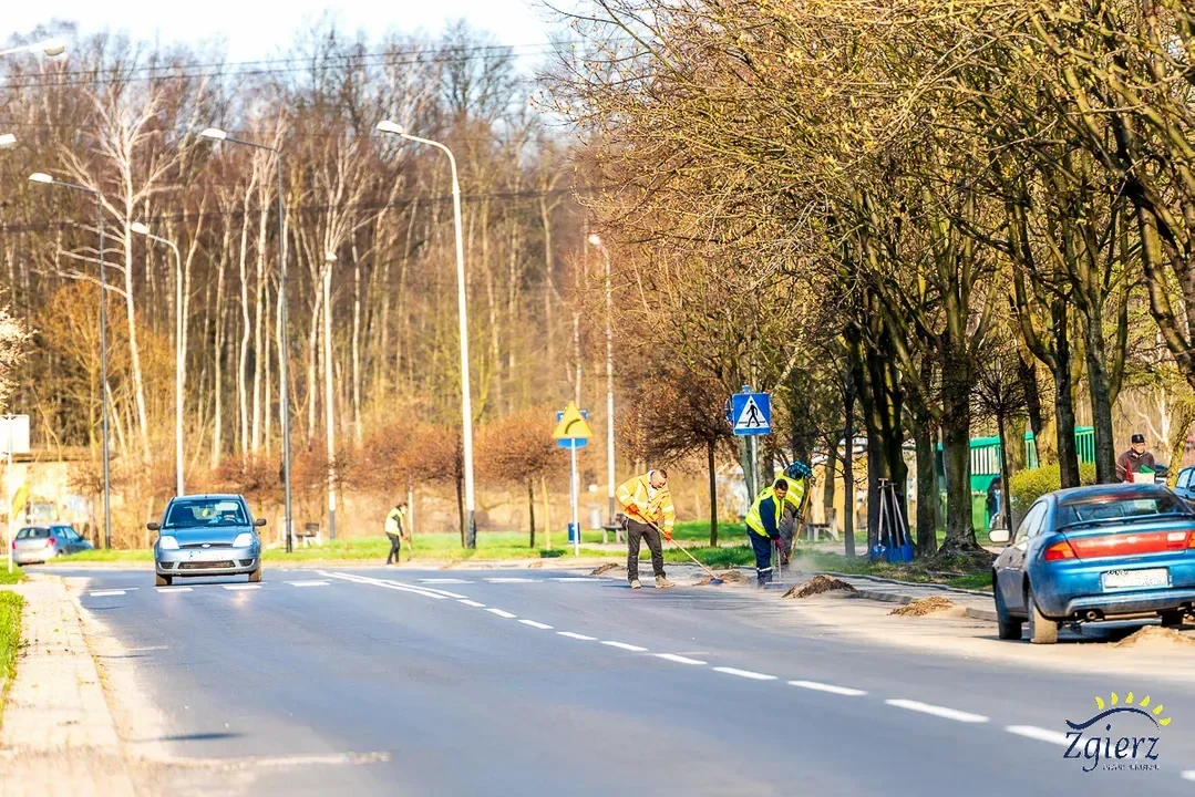 Wiosenne sprzątanie Zgierza. Tutaj lepiej nie parkować - Zdjęcie główne