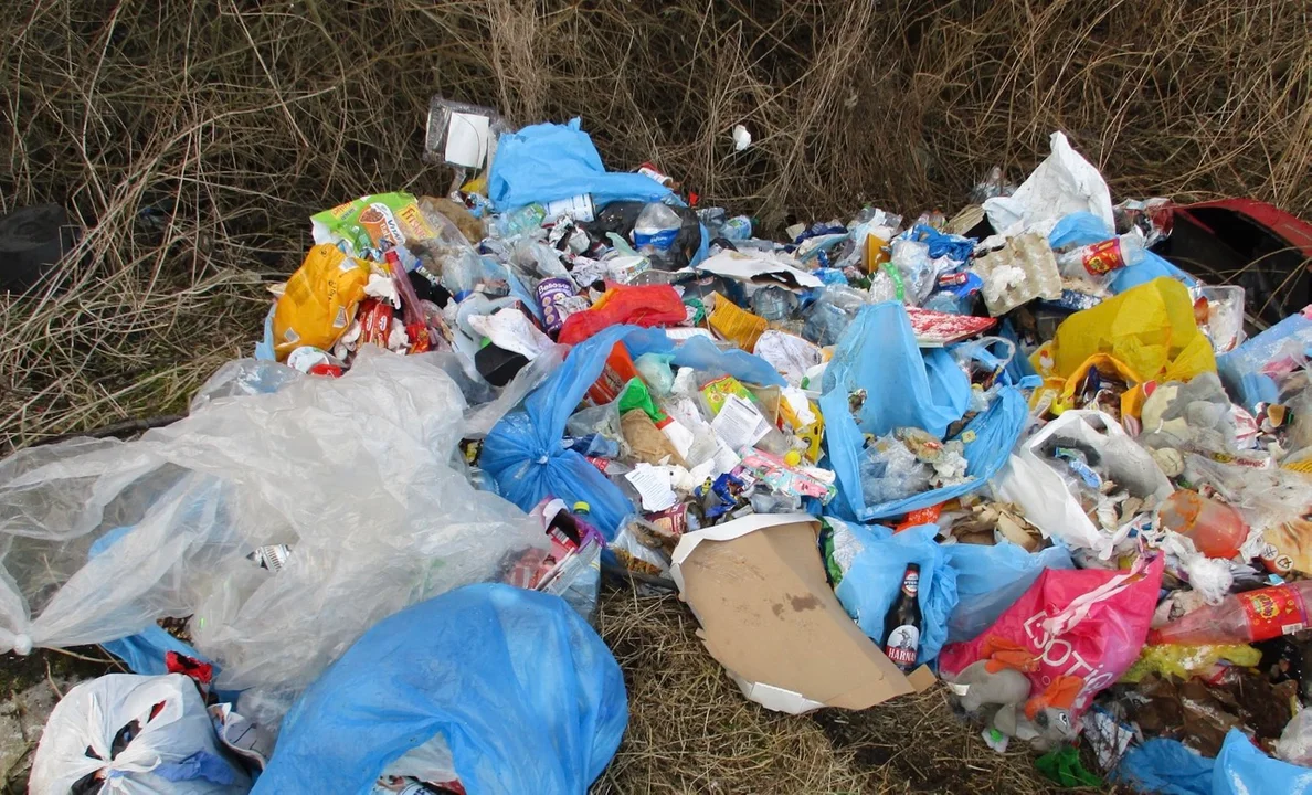 Zgierz. Dzikie wysypiska odpadów. Mieszkańcy pozostawiają je co roku wiosną - Zdjęcie główne