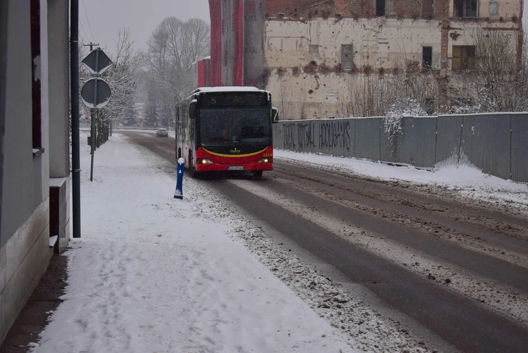 Nowa linia autobusowa do Zgierza. Pasażerowie pojadą za darmo [ROZKŁAD JAZDY] - Zdjęcie główne