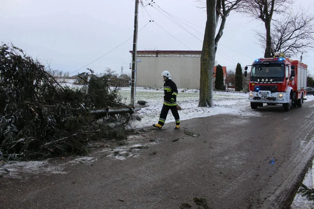 Wichura w Łódzkiem. Brak prądu, uszkodzone dachy, powalone drzewa - Zdjęcie główne